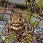 "Ein Wetter zum Helden zeugen"   . . .