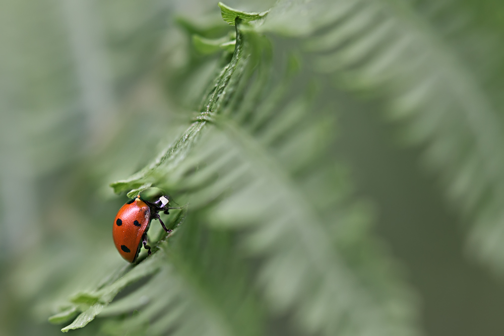 Ein Wetter zum Verstecken