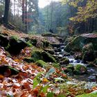 Ein Wildbachtal zum träumen