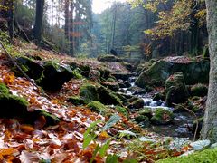 Ein Wildbachtal zum träumen