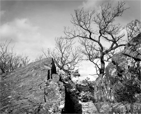 Ein wilder Felsenweg...