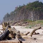 Ein wilder Strand