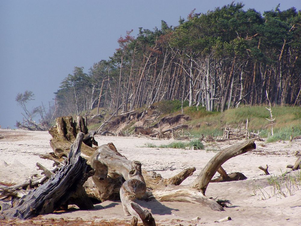 Ein wilder Strand