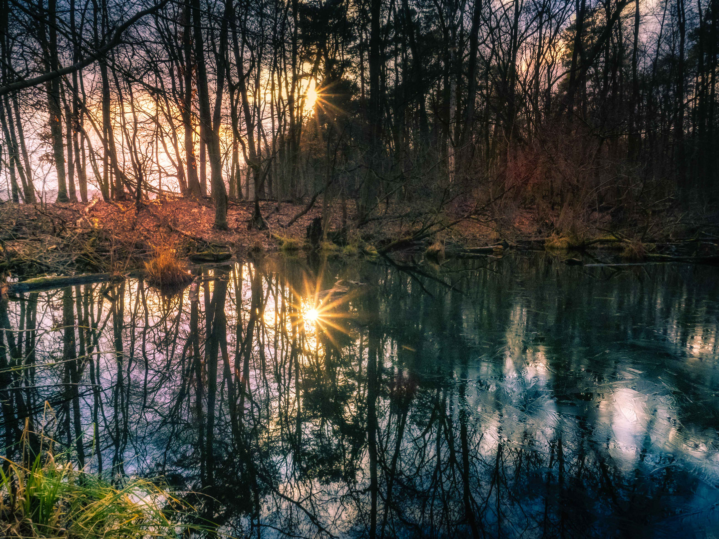 Ein wildes Stück Natur