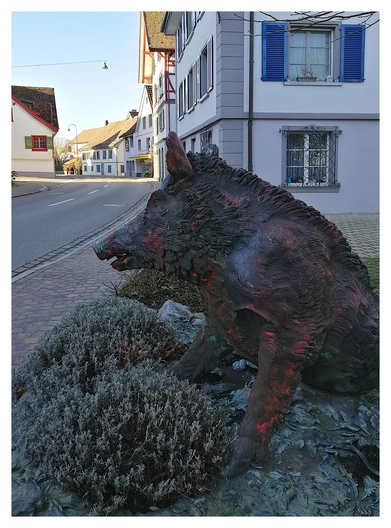 Ein Wildschwein im Dorf