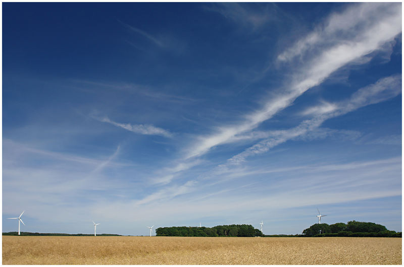 Ein Windpark im Kornfeld