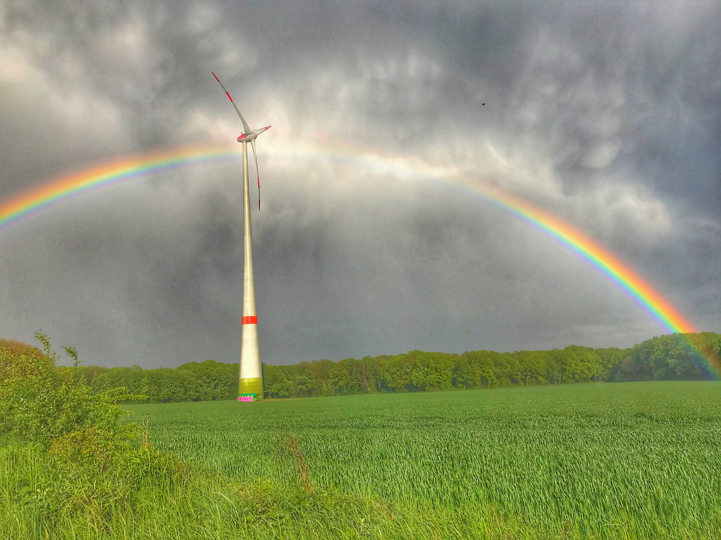 Ein Windrad unterm Regenbogen 