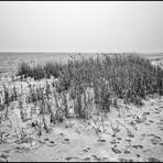 EIN WINDSTILLER TAG....