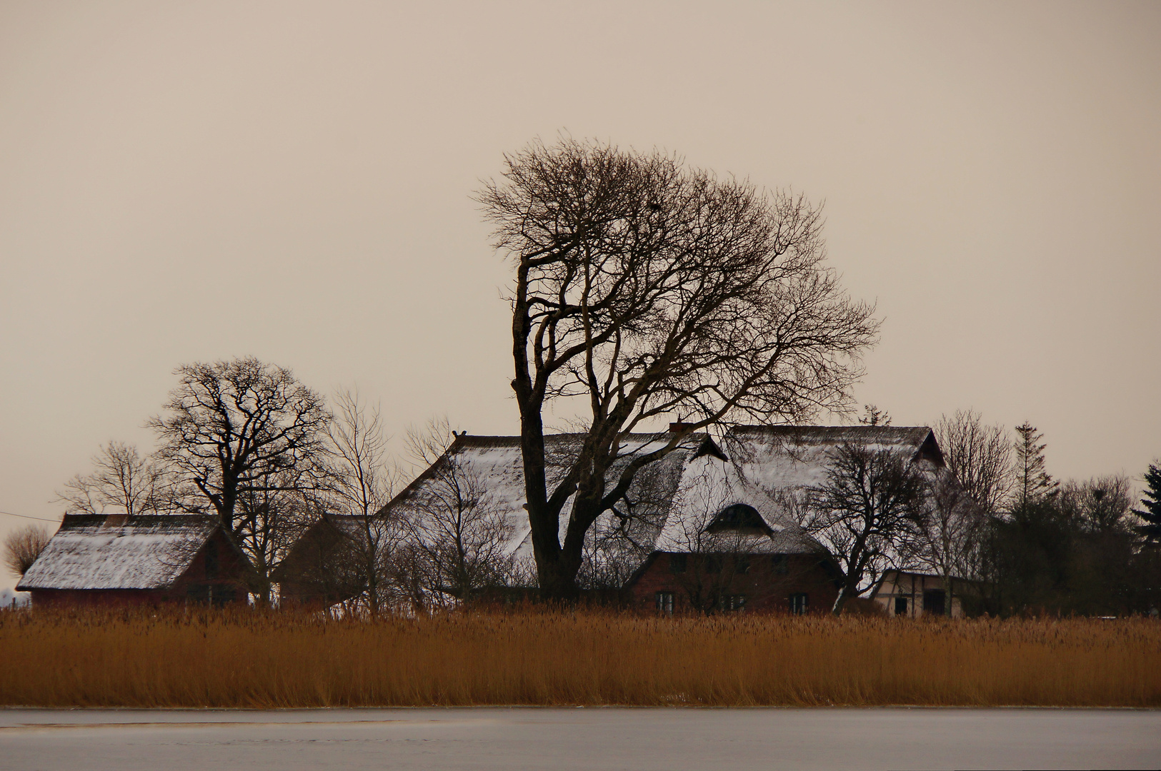 Ein Winter auf Fischland