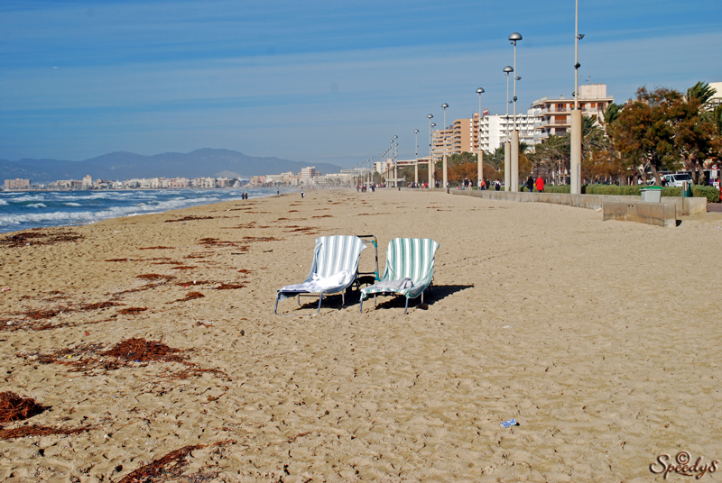 Ein Winter auf Mallorca - Un hivern a Mallorca