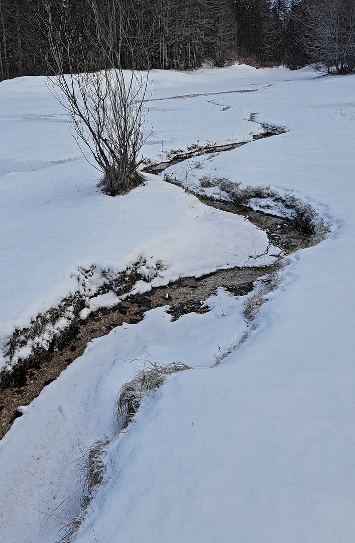 ein Winter-Bachl