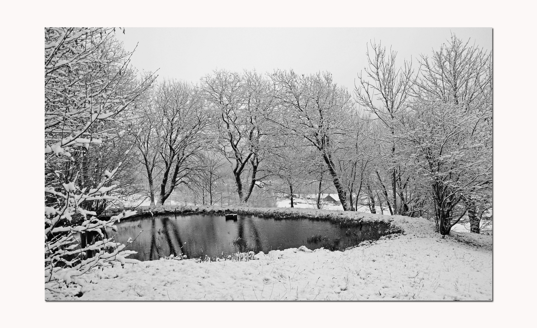 Ein Winter, der nicht richtig in die Gänge kommt...