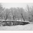 Ein Winter, der nicht richtig in die Gänge kommt...