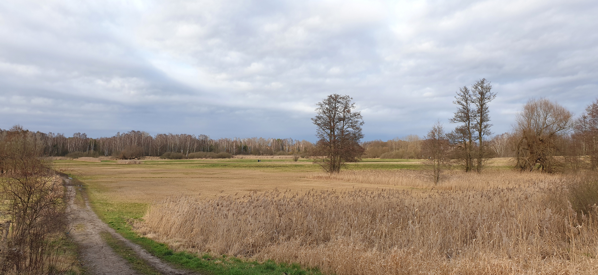 Ein Winter im Februar.....in Berlin