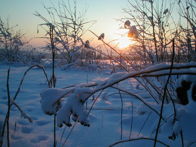 Ein Winter-Nachmittag im Vogtland