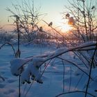 Ein Winter-Nachmittag im Vogtland