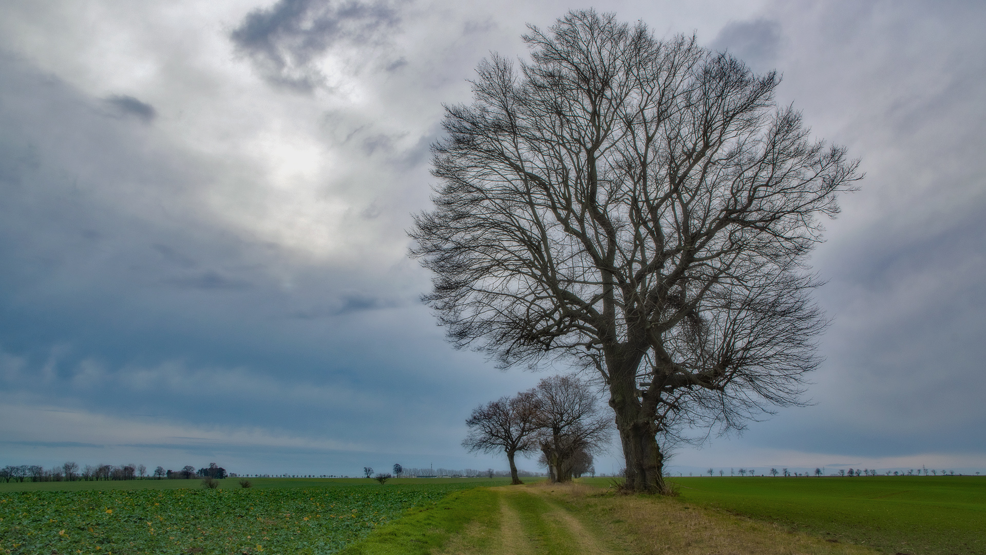 _Ein Winter ohne Schnee_