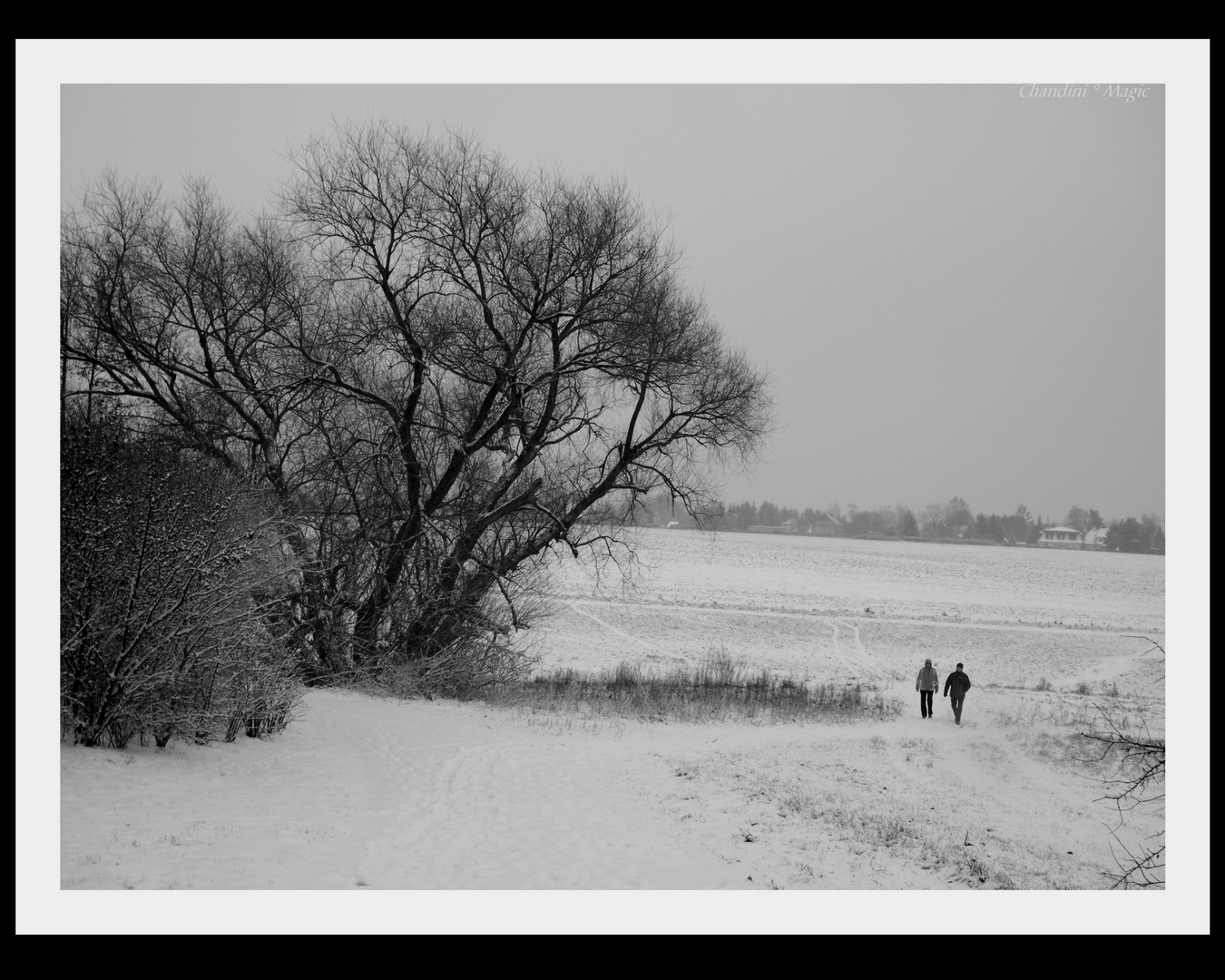 Ein Winter Spaziergang