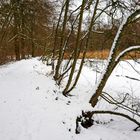 Ein Winter Spaziergang 2