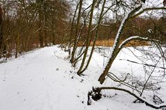 Ein Winter Spaziergang 2