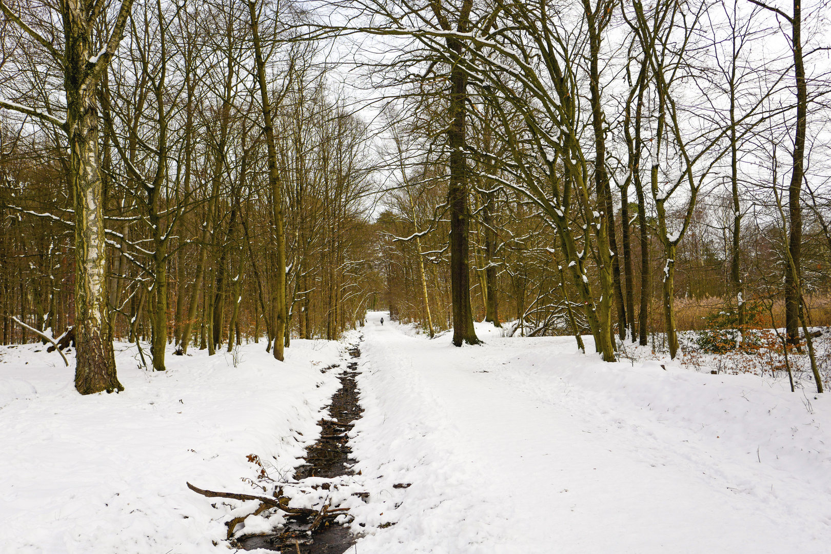 Ein Winter Spaziergang 3