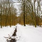 Ein Winter Spaziergang 3