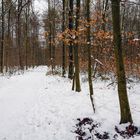 Ein Winter Spaziergang