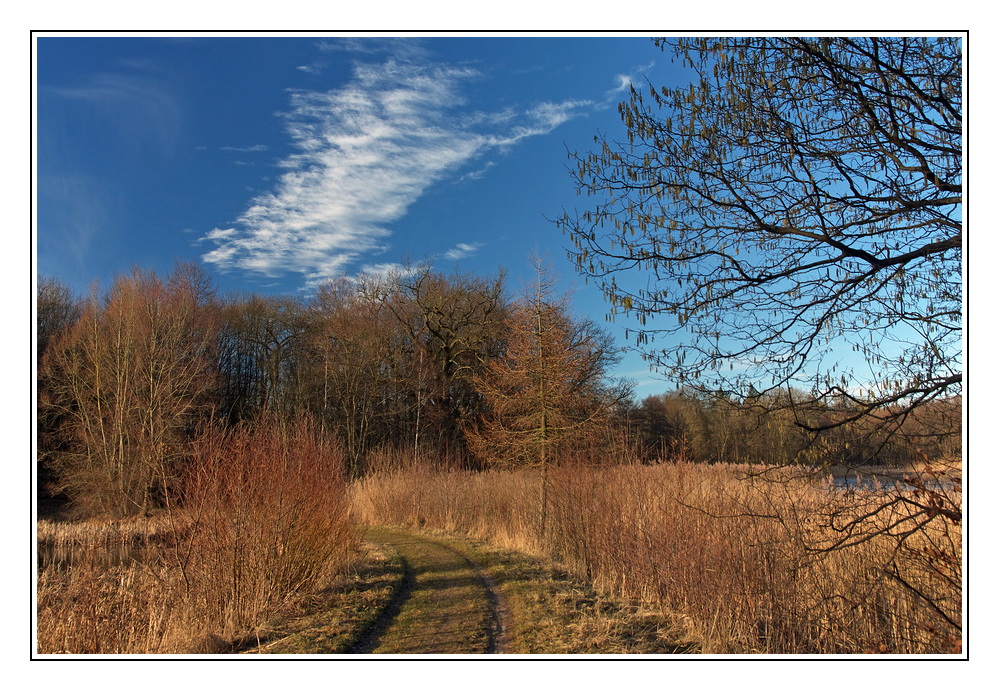 Ein Winter-spaziergang