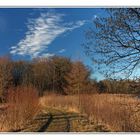 Ein Winter-spaziergang