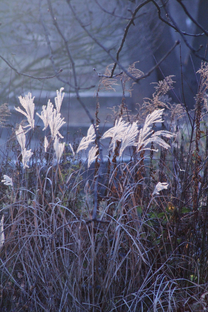 ein Winter Stilleben