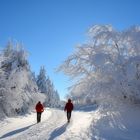 ein WINTER - TRAUM