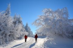 ein WINTER - TRAUM