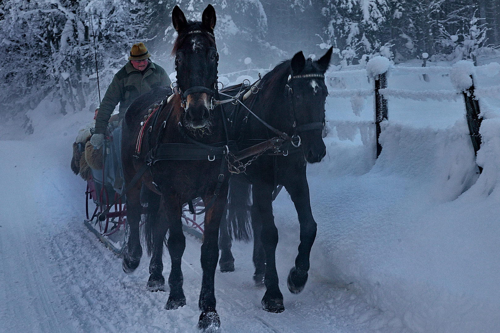 Ein Winter wie damals (3)