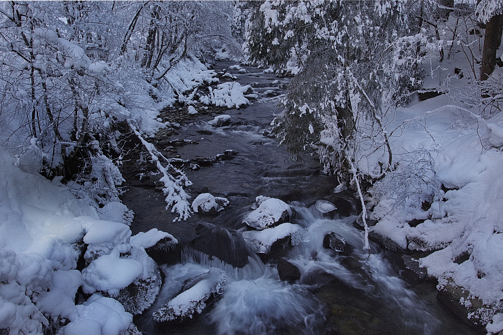 Ein Winter wie damals (4)