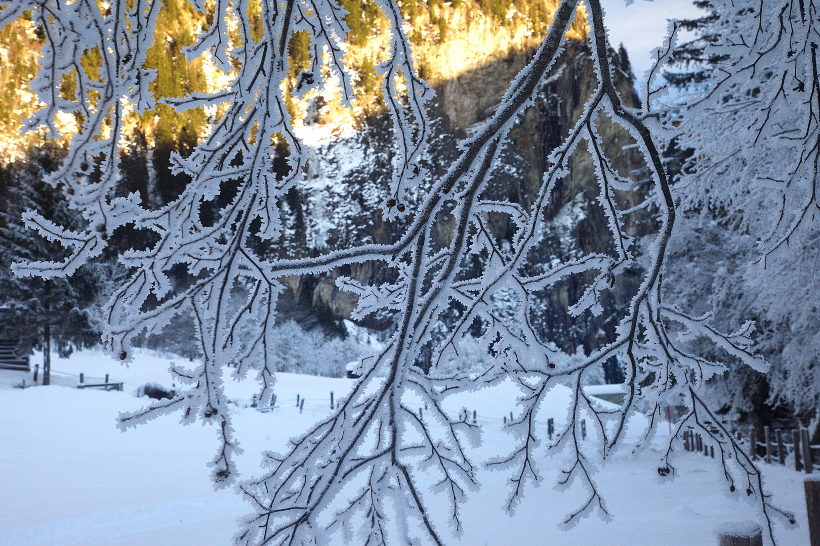 Ein Winter wie damals (6)