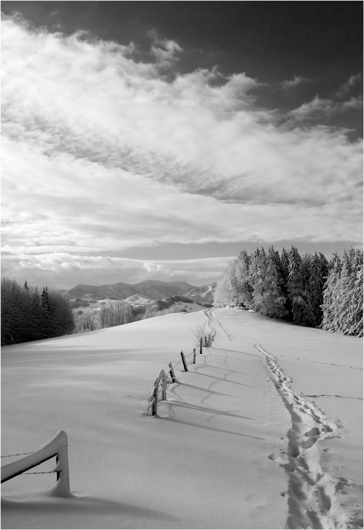 ein Winter wie er sein sollte 