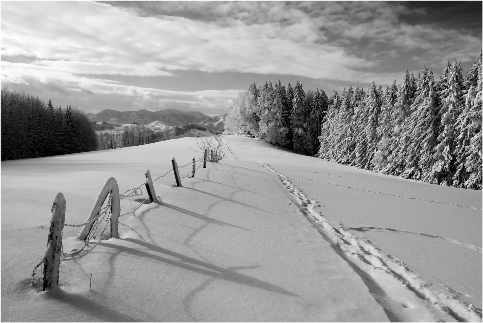 ein Winter wie er sein sollte 