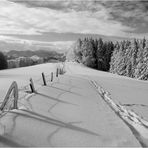 ein Winter wie er sein sollte 