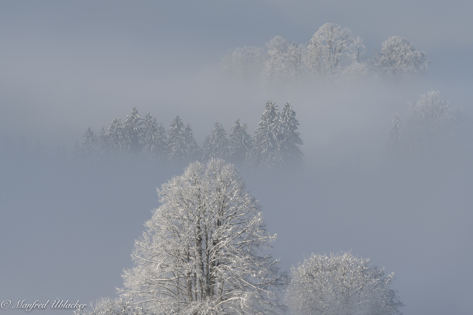 Ein Winter wie im Bilderbuch ...