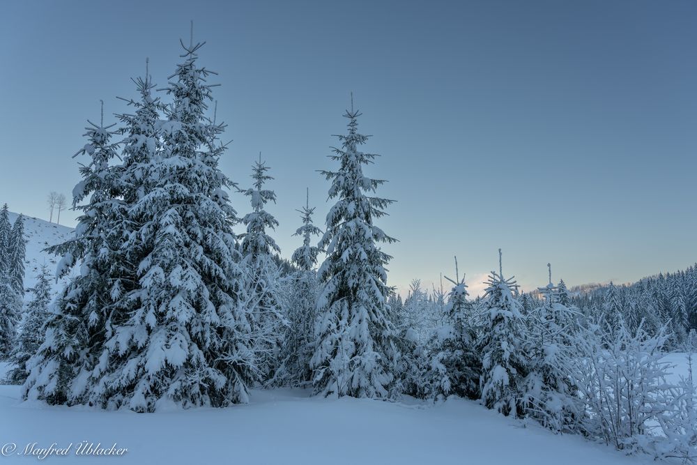 Ein Winter wie im Bilderbuch ...