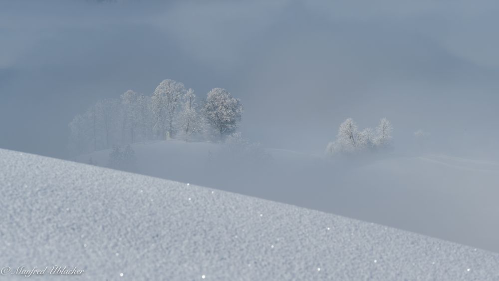 Ein Winter wie im Bilderbuch ...