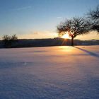 ein Winter zum Träumen..