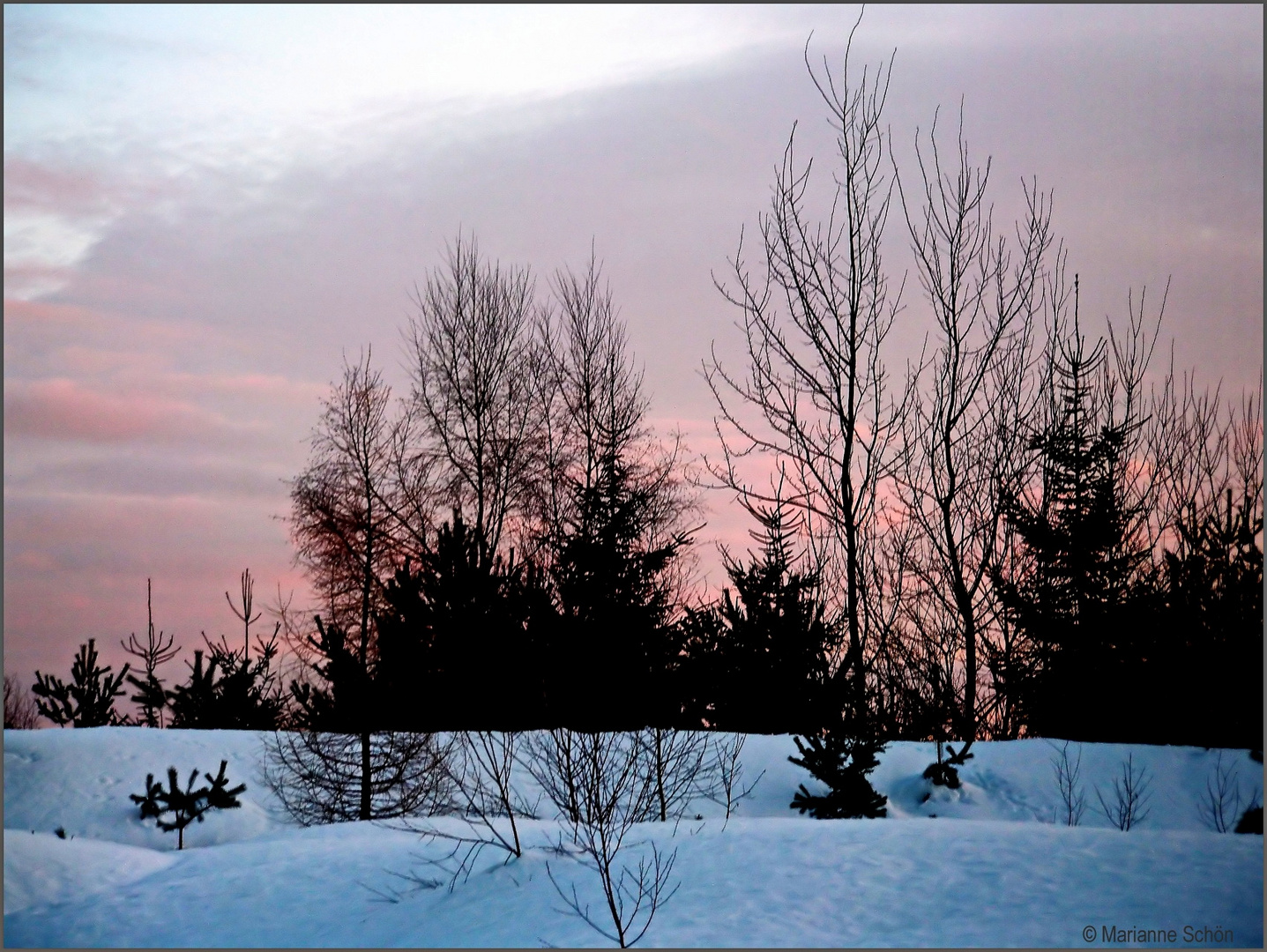 Ein Winterabend zur blauen Stunde...