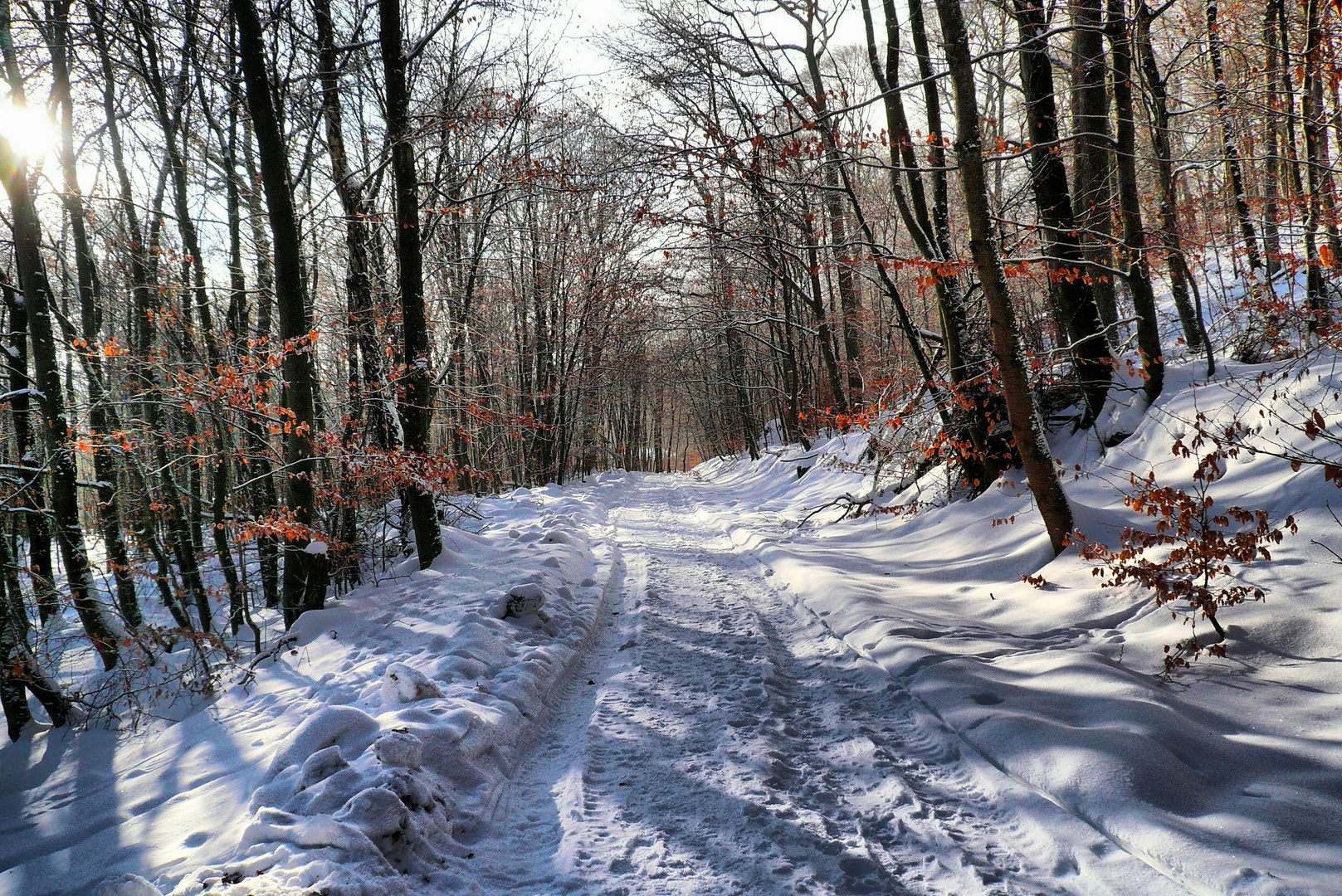 Ein Winterbild aus dem Taunus