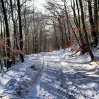 Ein Winterbild aus dem Taunus