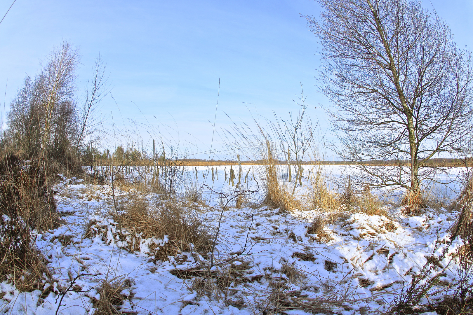 ein Winterbild vom Hagener Moor