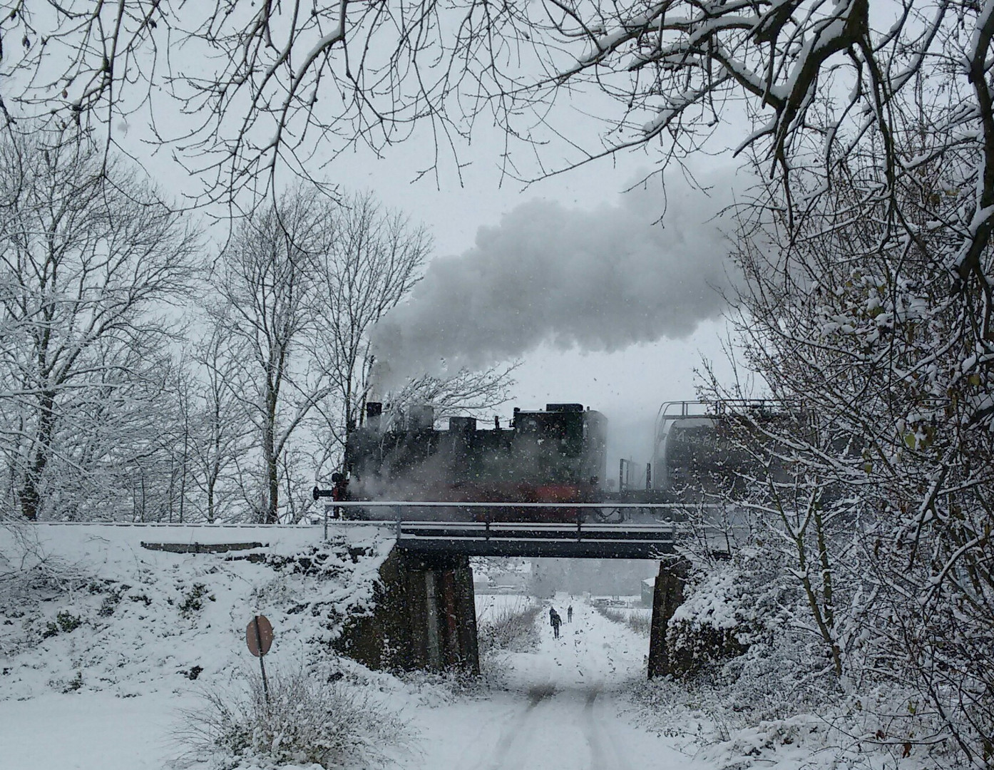 Ein Wintergruß aus der Asse bei Braunschweig