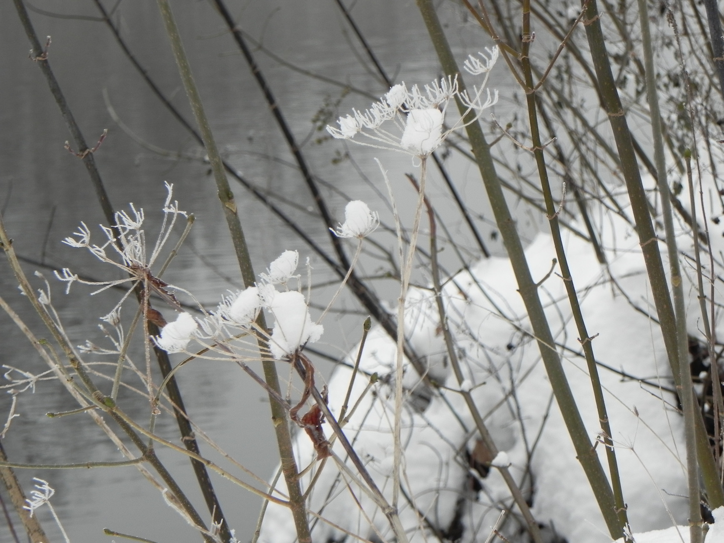 ein Wintergruß