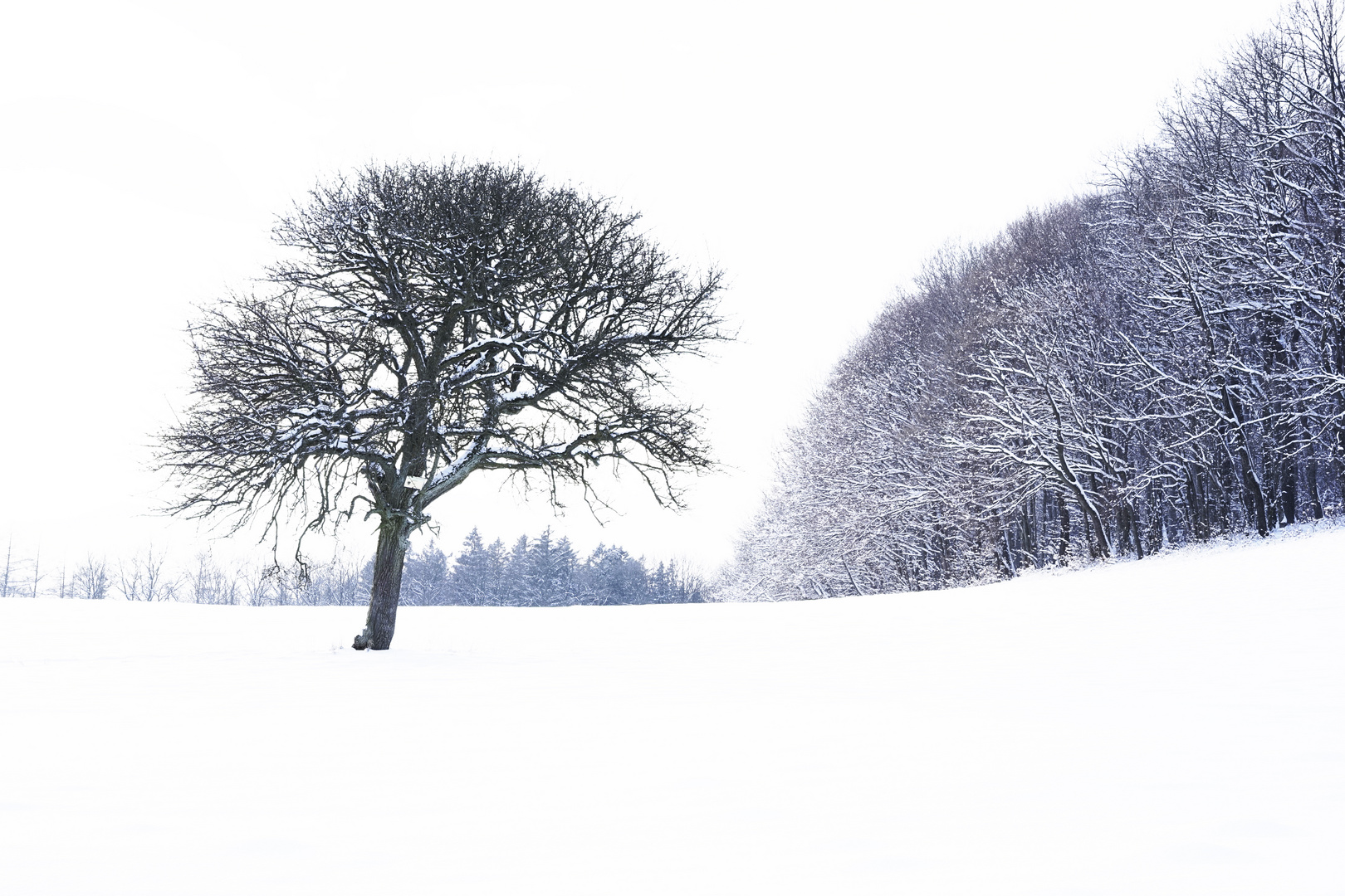 Ein Wintergruß