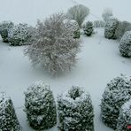 Ein Wintergruß, vom Sturmtief: „Eberhard“.......